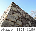 岡山城 110548169