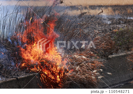 野原の火災 110548271