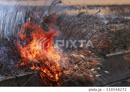 野原の火災 110548272