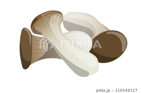 3本のエリンギのイラスト素材 110548327