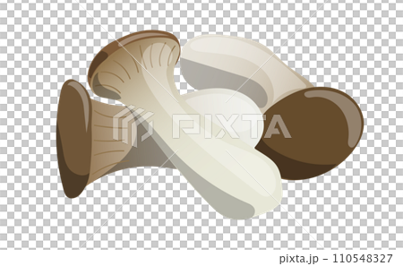 Illustration material of three eryngii 110548327