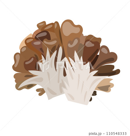 2つの舞茸のイラスト素材 2つの舞茸のイラスト素材 110548333
