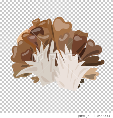 2つの舞茸のイラスト素材 2つの舞茸のイラスト素材 110548333