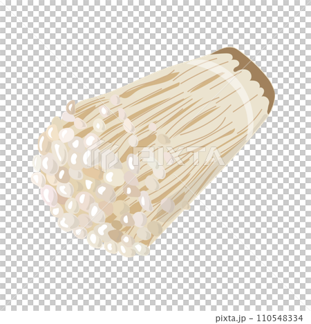Enoki mushroom illustration material Enoki mushroom illustration material 110548334