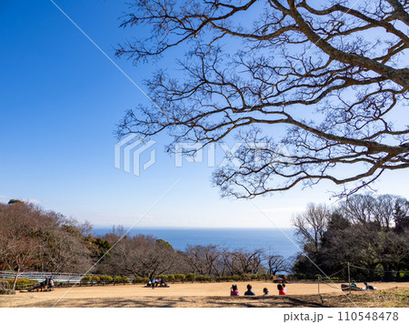 冬の吾妻山公園　エノキの木の下から望む相模湾 110548478