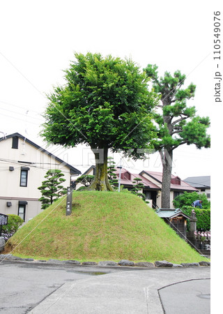 宝池寺一里塚(静岡県駿東郡清水町) 110549076