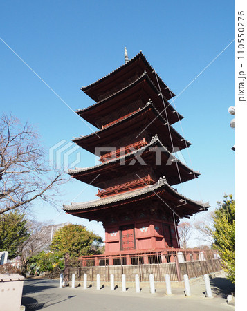 池上本門寺五重塔を斜めから見上げる（関東で現在する最古最大の五重塔） 110550276