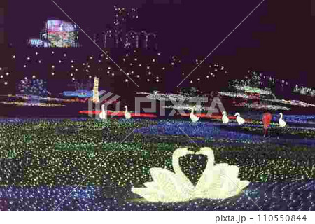 東京ドイツ村イルミネーション④ 東京ドイツ村イルミネーション④ 110550844