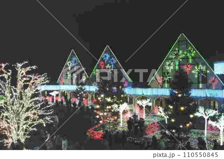 東京ドイツ村イルミネーション⑤ 東京ドイツ村イルミネーション⑤ 110550845