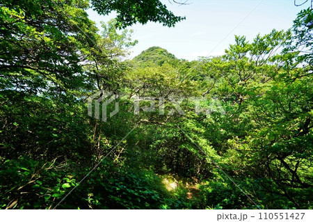 箱根山冠ヶ岳からの神山 箱根山冠ヶ岳からの神山 110551427