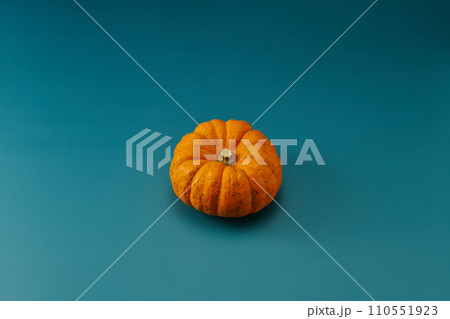小型のカボチャを中心に1個配置した緑色系背景あり俯瞰撮影 小型のカボチャを中心に1個配置した緑色系背景あり俯瞰撮影 110551923