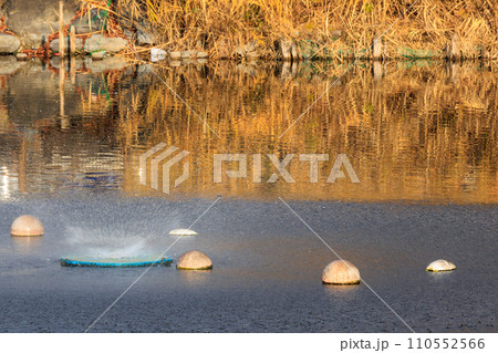 池からの噴水 池からの噴水 110552566