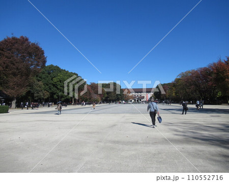 上野公園 噴水広場付近 上野公園 噴水広場付近 110552716