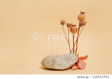 Autumn composition or podium for product with dried flowers and stone on beige background. Autumn fall decoration Autumn composition or podium for product with dried flowers and stone on beige background. Autumn fall decoration 110552741