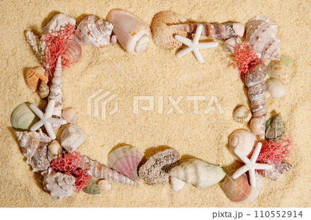 Frame from seashells, starfish on sand. Summer beach or sea concept. Copy space Frame from seashells, starfish on sand. Summer beach or sea concept. Copy space 110552914