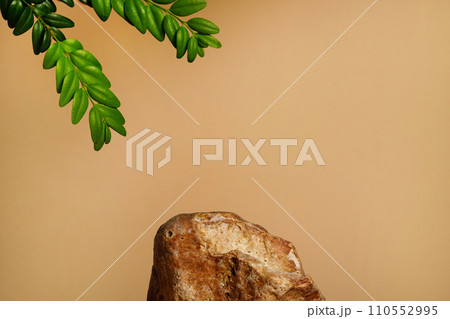 Background for cosmetic products of natural beige color. Stone brown podium with green leaves. Copy space 110552995