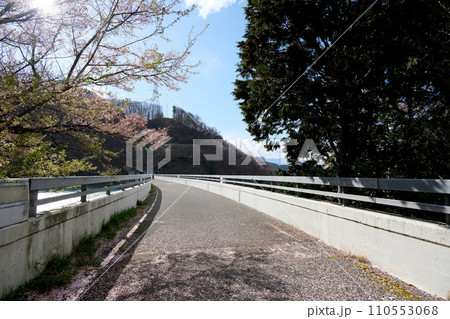 長野県伊那市_美和ダム_美和湖5_2023_4月 110553068