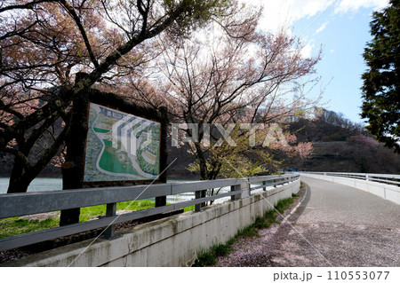 長野県伊那市_美和ダム_美和湖14_2023_4月 110553077