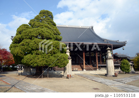 妙顕寺 本堂 京都市上京区 妙顕寺 本堂 京都市上京区 110553118
