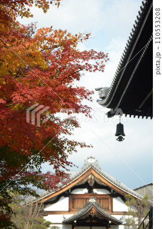 妙顕寺 庫裏と紅葉 京都市上京区 妙顕寺 庫裏と紅葉 京都市上京区 110553208