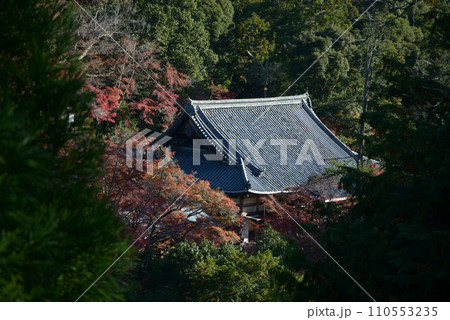 西明寺 本堂遠望 京都市右京区 西明寺 本堂遠望 京都市右京区 110553235