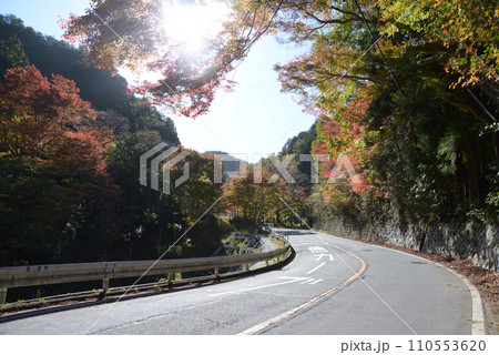 高雄 周山街道の紅葉 京都市右京区梅ヶ畑 高雄 周山街道の紅葉 京都市右京区梅ヶ畑 110553620