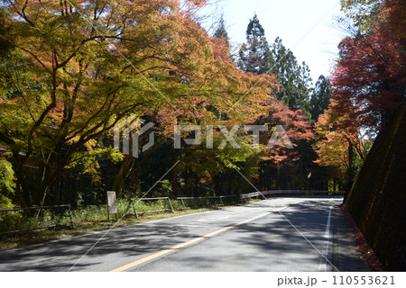 高雄 周山街道の紅葉 京都市右京区梅ヶ畑 高雄 周山街道の紅葉 京都市右京区梅ヶ畑 110553621