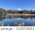 大山 リフレクション 110553653