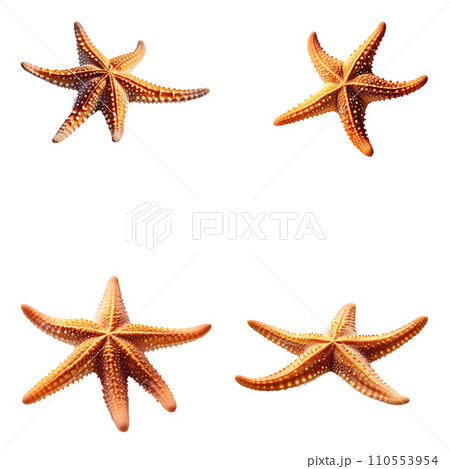 Beautiful Starfish set isolated on a white background. Generative AI 110553954