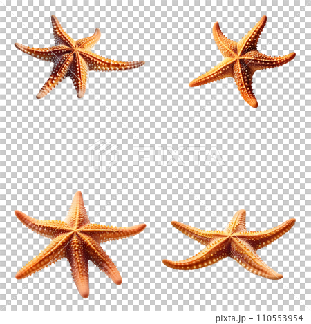 Beautiful Starfish set isolated on a white background. Generative AI 110553954
