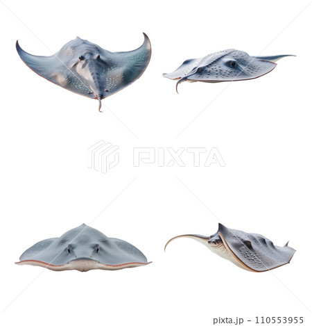 Beautiful Stingray set isolated on a white background. Generative AI 110553955