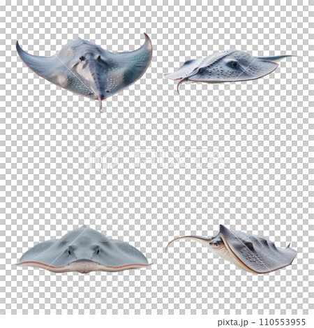 Beautiful Stingray set isolated on a white background. Generative AI 110553955