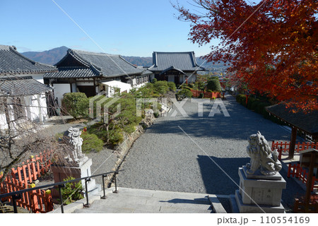 秋の建勲神社　境内　京都市北区紫野 110554169