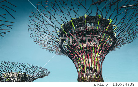 スーパーツリーグローブと空。シンガポールのガーデンズ・バイ・ザ・ベイ。 110554538