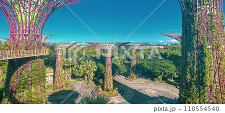 ガーデンズ・バイ・ザ・ベイと複数のスーパーツリーグローブ。シンガポール観光。 110554540