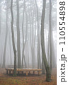 fog in the forest 110554898
