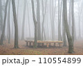 fog in the forest 110554899
