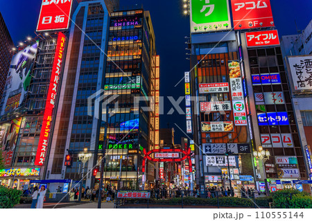東京　新宿区 歌舞伎町の都市風景　歌舞伎町一番街 110555144