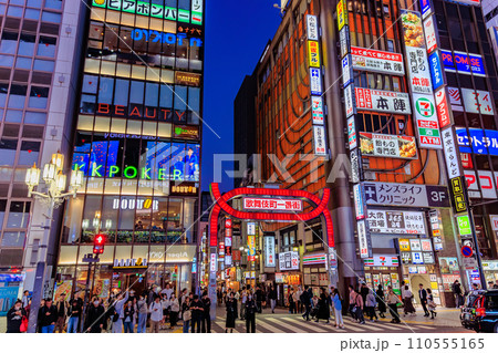 東京　新宿区 歌舞伎町の都市風景　歌舞伎町一番街 110555165
