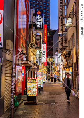 東京　新宿区 歌舞伎町の都市風景　歌舞伎町一番街 110555176