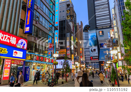 東京 新宿区 歌舞伎町の都市風景 歌舞伎町ゴジラロード(セントラルロード) 東京 新宿区 歌舞伎町の都市風景 歌舞伎町ゴジラロード(セントラルロード) 110555192