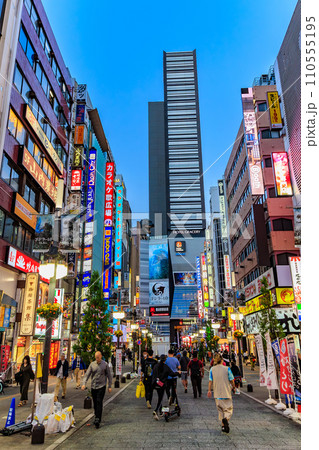 東京　新宿区 歌舞伎町の都市風景　歌舞伎町ゴジラロード（セントラルロード） 110555195