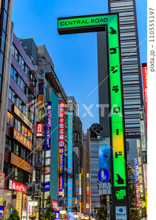 東京　新宿区 歌舞伎町の都市風景　歌舞伎町ゴジラロード（セントラルロード） 110555197