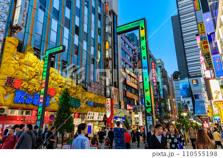 東京 新宿区 歌舞伎町の都市風景 歌舞伎町ゴジラロード(セントラルロード) 東京 新宿区 歌舞伎町の都市風景 歌舞伎町ゴジラロード(セントラルロード) 110555198
