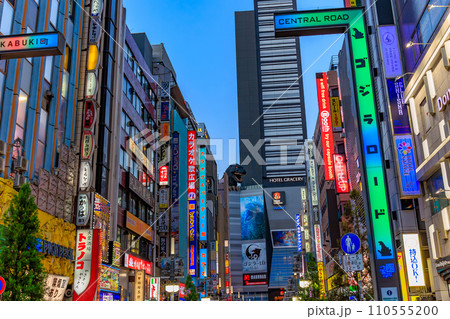 東京 新宿区 歌舞伎町の都市風景 歌舞伎町ゴジラロード(セントラルロード) 東京 新宿区 歌舞伎町の都市風景 歌舞伎町ゴジラロード(セントラルロード) 110555200