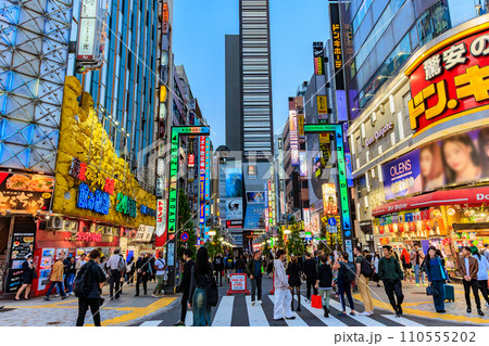 東京 新宿区 歌舞伎町の都市風景 歌舞伎町ゴジラロード(セントラルロード) 東京 新宿区 歌舞伎町の都市風景 歌舞伎町ゴジラロード(セントラルロード) 110555202