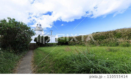 神奈川県三浦市城ヶ島の秋 神奈川県三浦市城ヶ島の秋 110555414