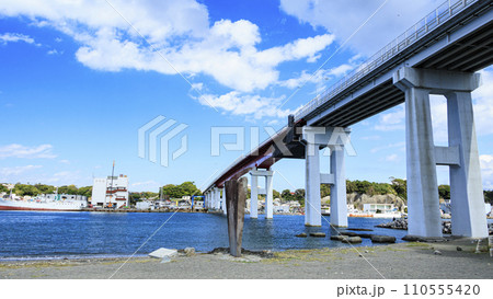 神奈川県三浦市城ヶ島の秋 110555420