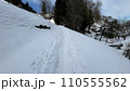 里山散歩 110555562