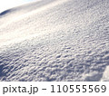 雪肌 110555569